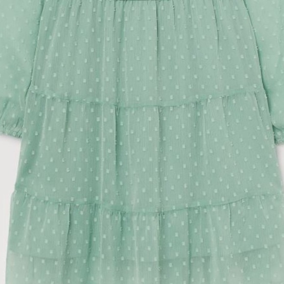DIVIDED H&M, Plumeti Chiffon Dress, in Light Green, Size L - Picture 2 of 11